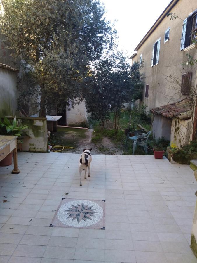 Casa Vacanza Zia Ersilia Rotondi Exterior foto
