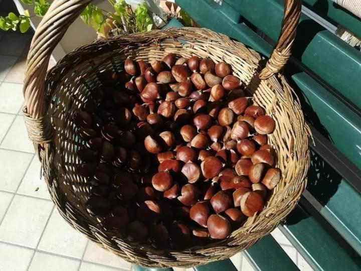 Casa Vacanza Zia Ersilia Rotondi Exterior foto